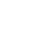 badge_designation_ZM-Platform-Developer_white-RGB
