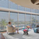Hunter Douglas Pirouette Clearview with PowerView - Satin, Living